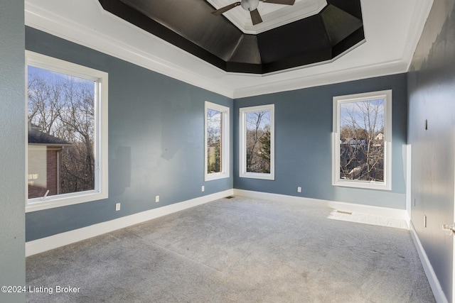 spare room featuring a tray ceiling, crown molding, and carpet