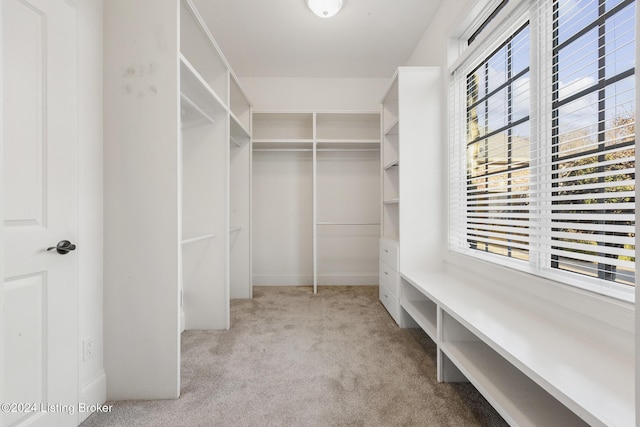 walk in closet with light colored carpet