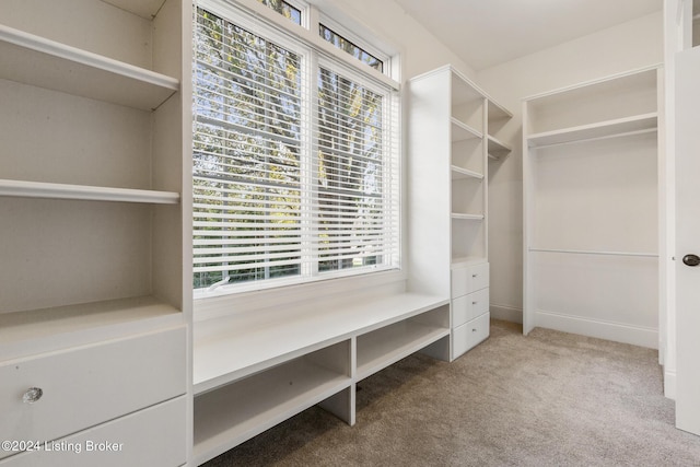 walk in closet featuring carpet flooring