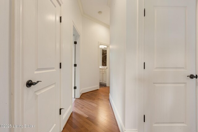 4123 Sanctuary Bluff Ln, Louisville, KY 40241 - photo 24