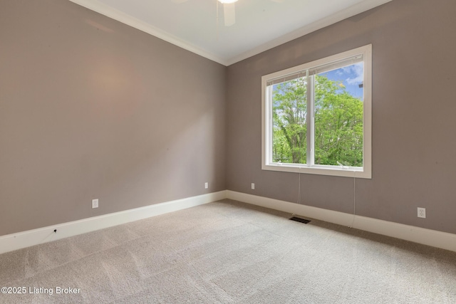 4123 Sanctuary Bluff Ln, Louisville, KY 40241 - photo 25