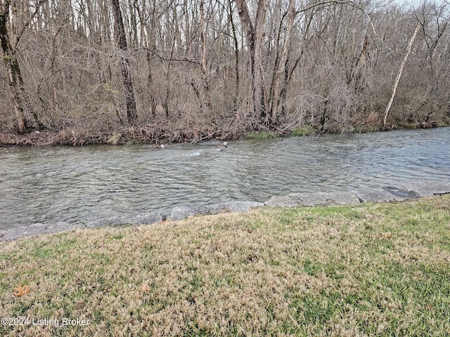 view of water feature