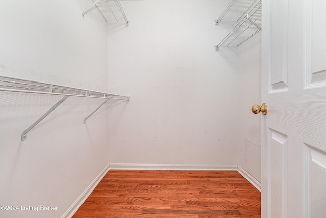 spacious closet with wood-type flooring