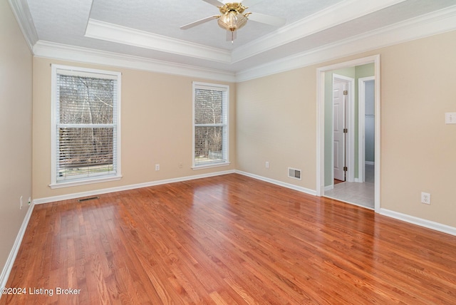 spare room with a raised ceiling, a wealth of natural light, and crown molding