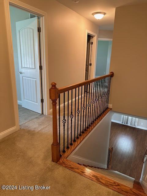 stairway with carpet flooring