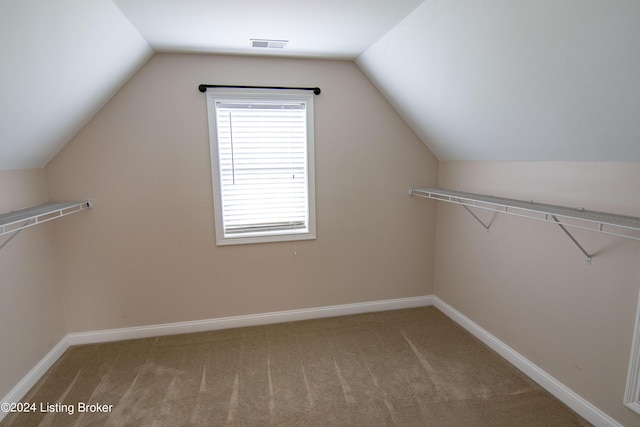 spacious closet featuring carpet flooring and vaulted ceiling