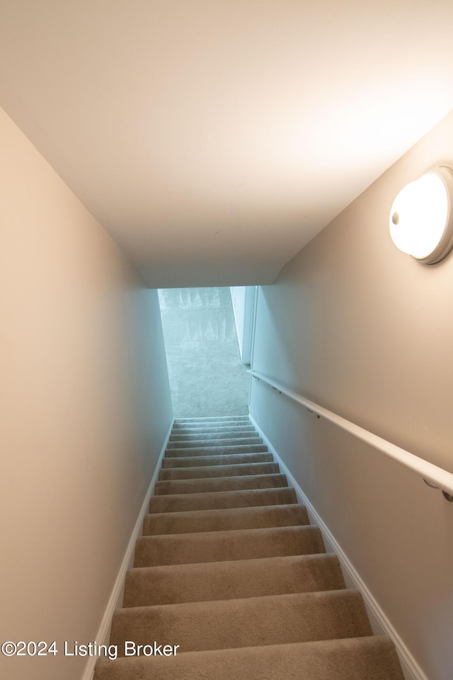 stairway featuring carpet