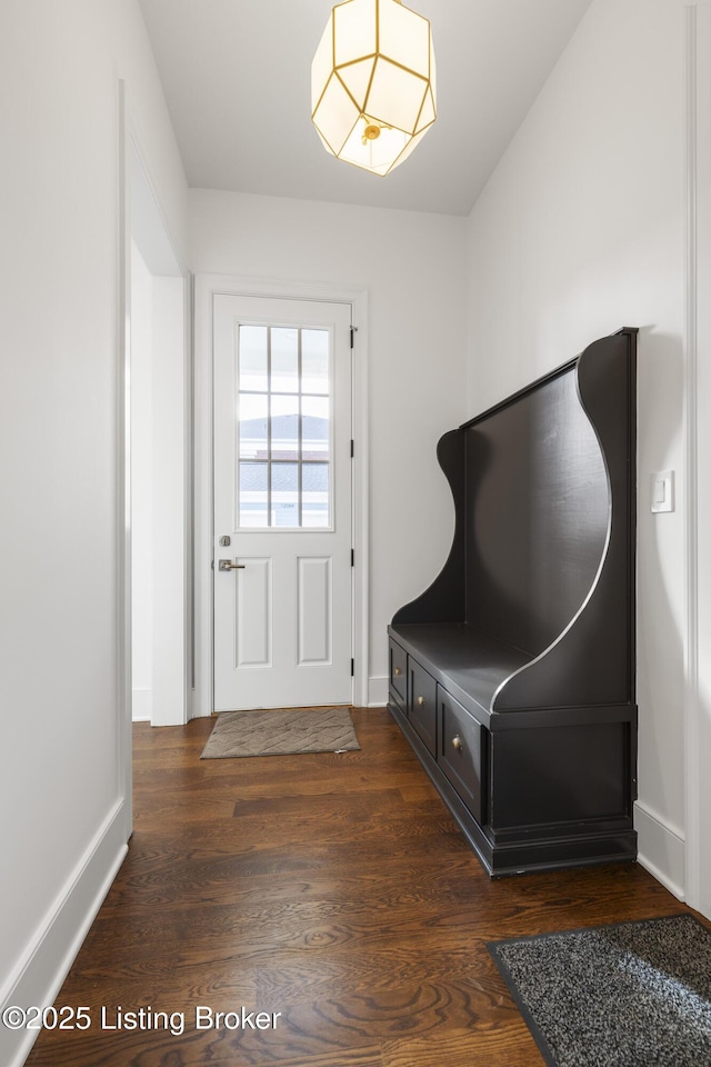 mudroom featuring dark hardwood / wood-style flooring