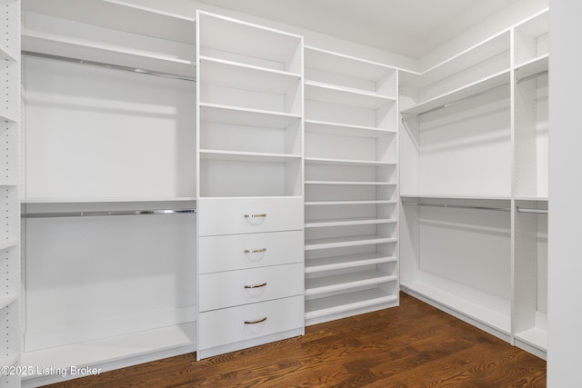 spacious closet featuring dark hardwood / wood-style floors