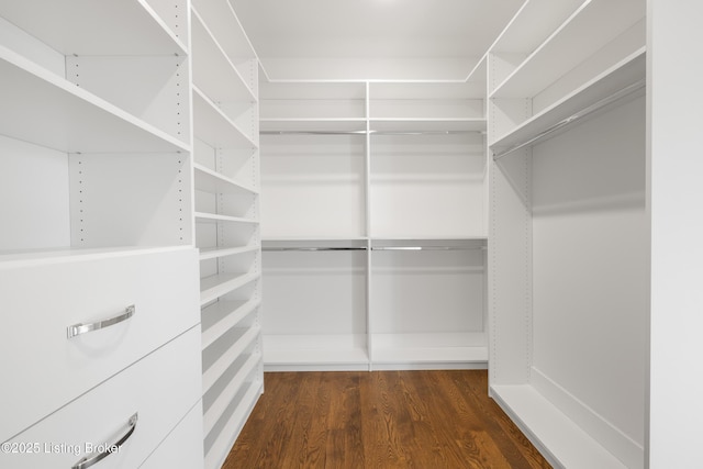 spacious closet with dark hardwood / wood-style floors