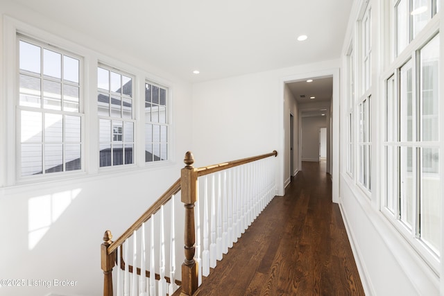 hallway featuring dark hardwood / wood-style flooring