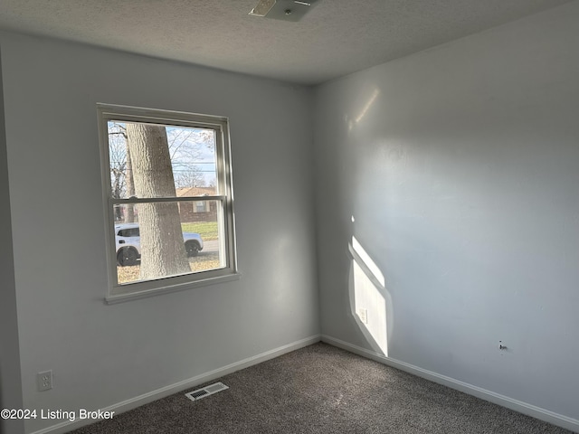 spare room featuring carpet floors and a textured ceiling