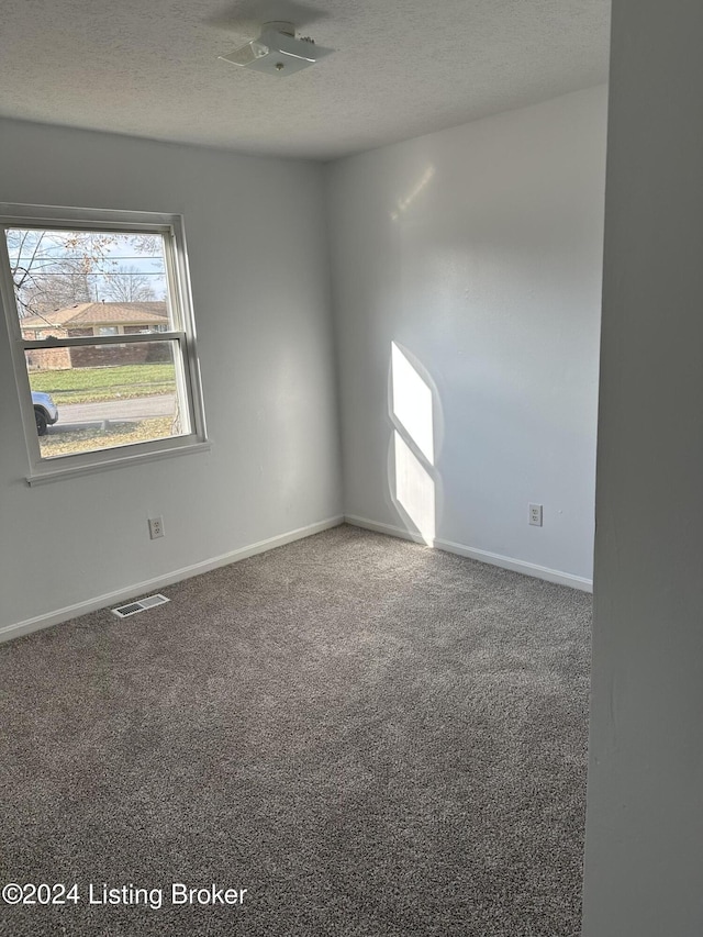 empty room with carpet flooring and a textured ceiling