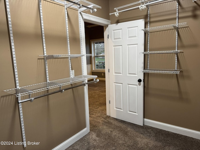 walk in closet featuring dark colored carpet