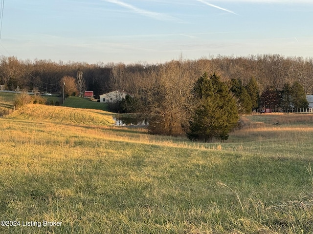 view of yard featuring a rural view