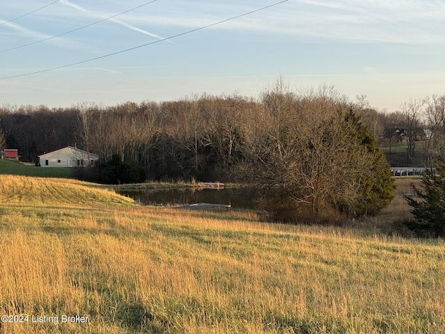 view of yard with a rural view