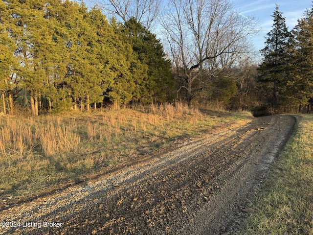 view of road