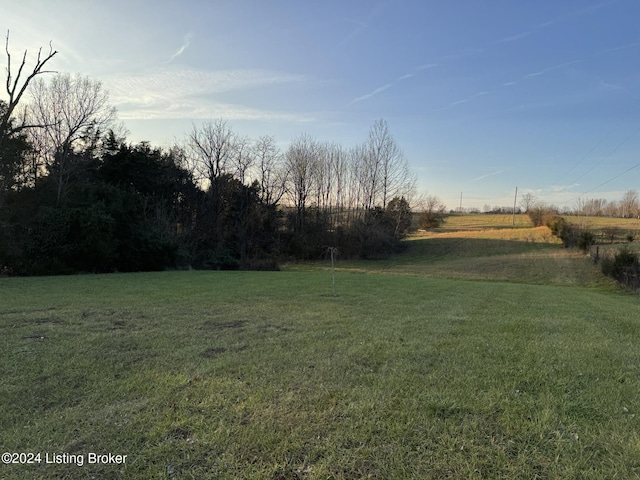 view of yard with a rural view