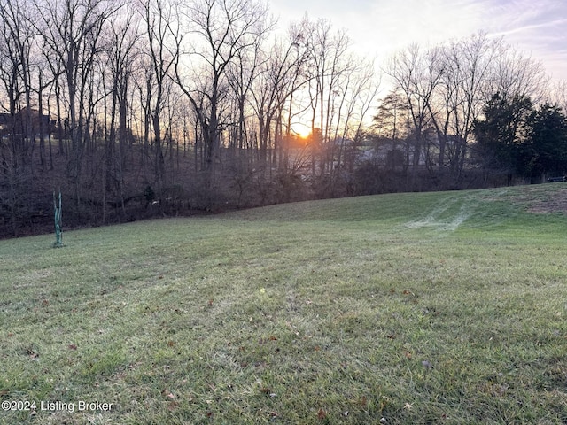 view of yard at dusk