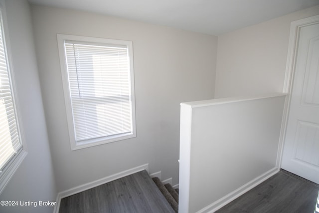 stairs with hardwood / wood-style floors