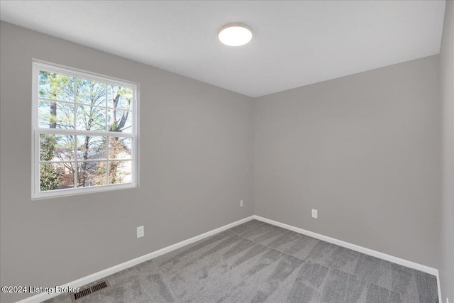 carpeted spare room featuring a healthy amount of sunlight