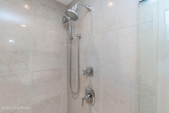 interior details with tiled shower