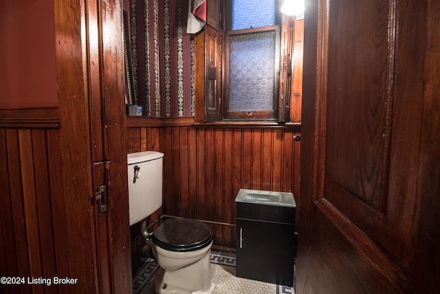 bathroom with wooden walls, vanity, and toilet