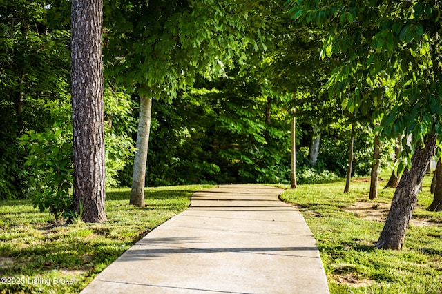 429 Highland Ridge Mt, Washington, KY 40047 - view of property's community with a lawn