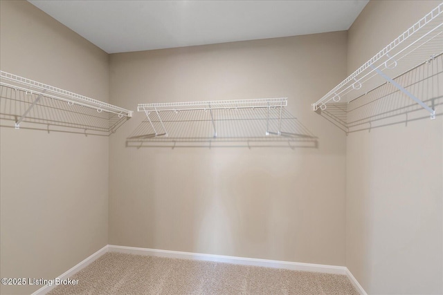 429 Highland Ridge Mt, Washington, KY 40047 - photo 22