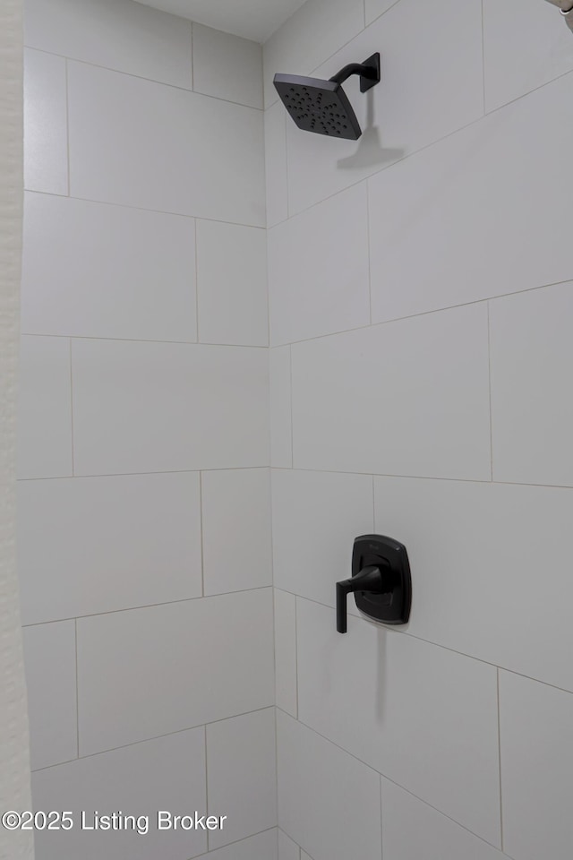 9415 Rockycreek Ln, Louisville, KY 40299 - interior details with tiled shower