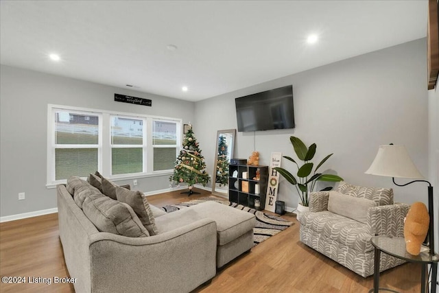 living room featuring hardwood / wood-style floors