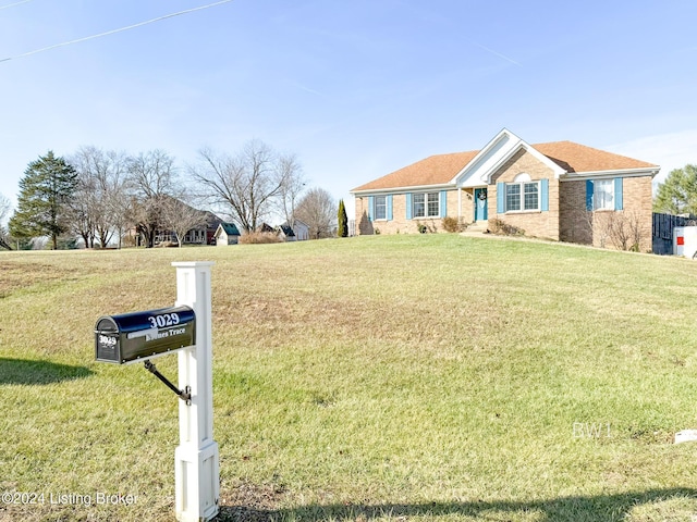 ranch-style house featuring a front yard