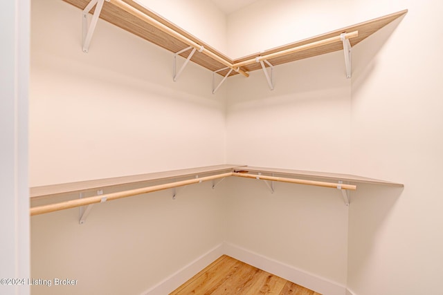 spacious closet with wood-type flooring