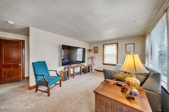 carpeted living room featuring a textured ceiling