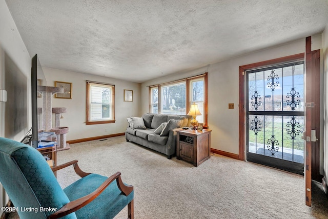 carpeted living room with a textured ceiling