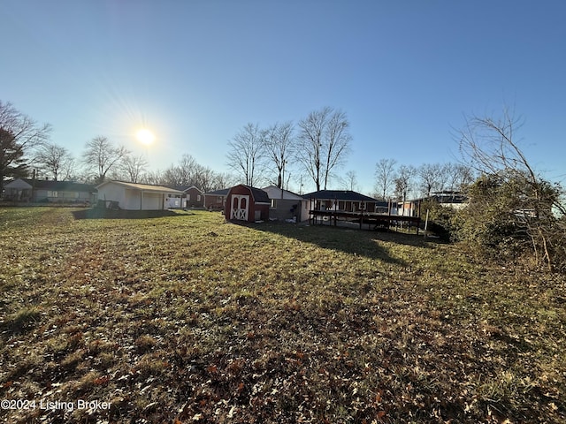 view of yard featuring a storage shed