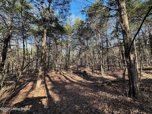 2299 Lone Star Rd, Upton, KY 42784