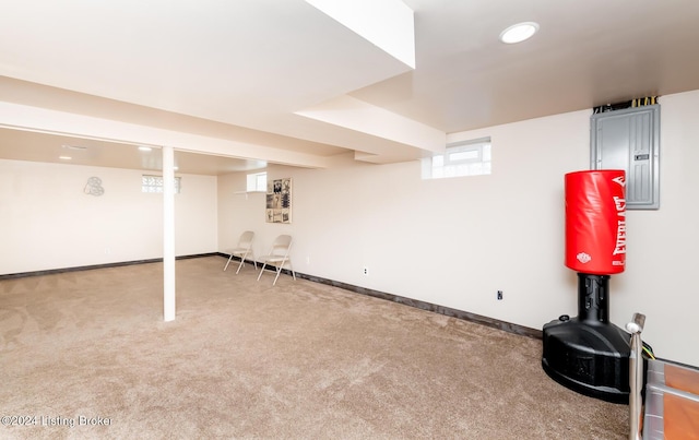 basement featuring carpet flooring and electric panel