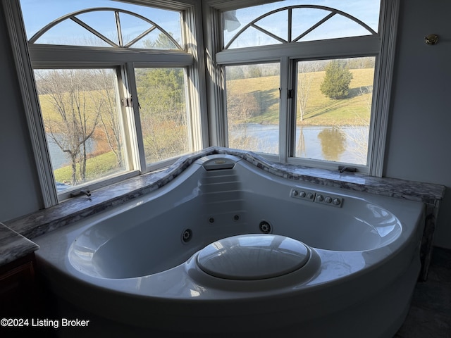 bathroom with a wealth of natural light