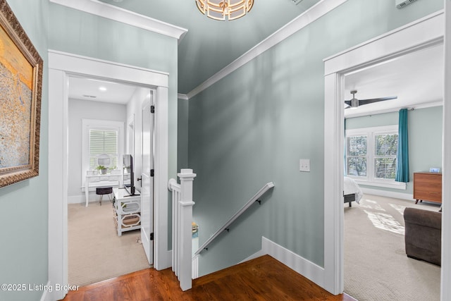 staircase with carpet flooring and ceiling fan