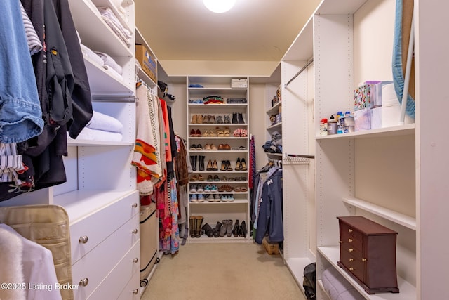 spacious closet with light carpet