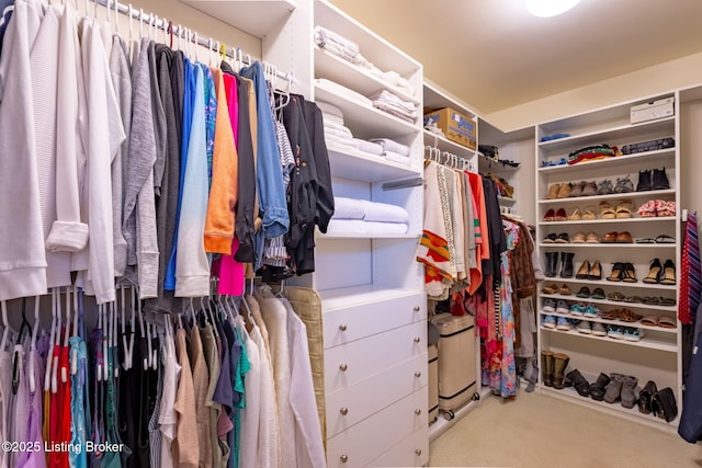 view of spacious closet