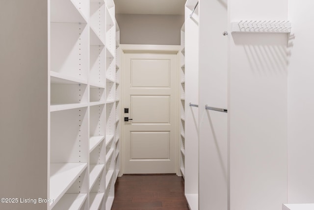 walk in closet with dark wood-type flooring