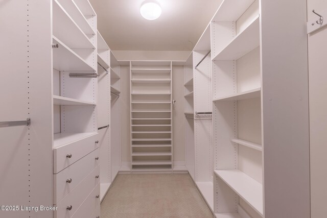 walk in closet with light carpet