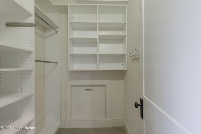 view of walk in closet