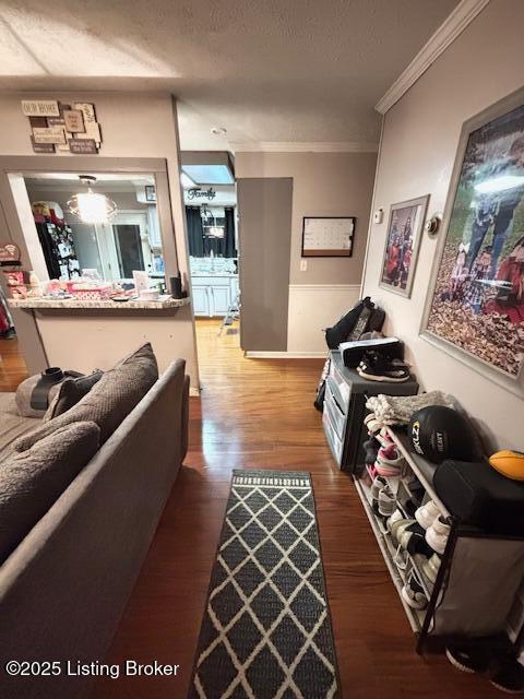 living room with a textured ceiling, dark wood-type flooring, and ornamental molding