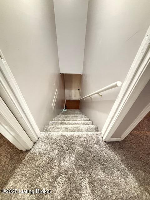 stairs featuring carpet flooring