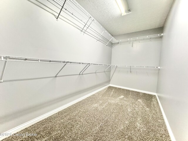 walk in closet with carpet floors