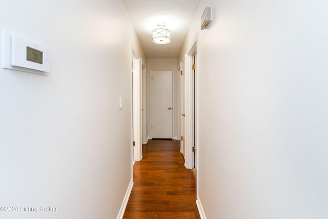 hallway featuring dark hardwood / wood-style flooring