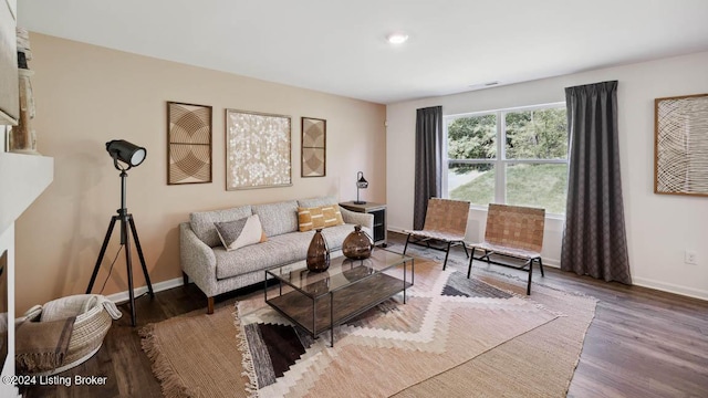 living room with hardwood / wood-style flooring